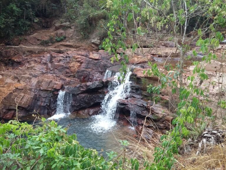 Colabore com a realização do Festival das Águas 2025!